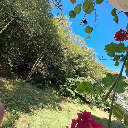 Garsoniera Flori - Sinaia Apartment Bagian luar foto