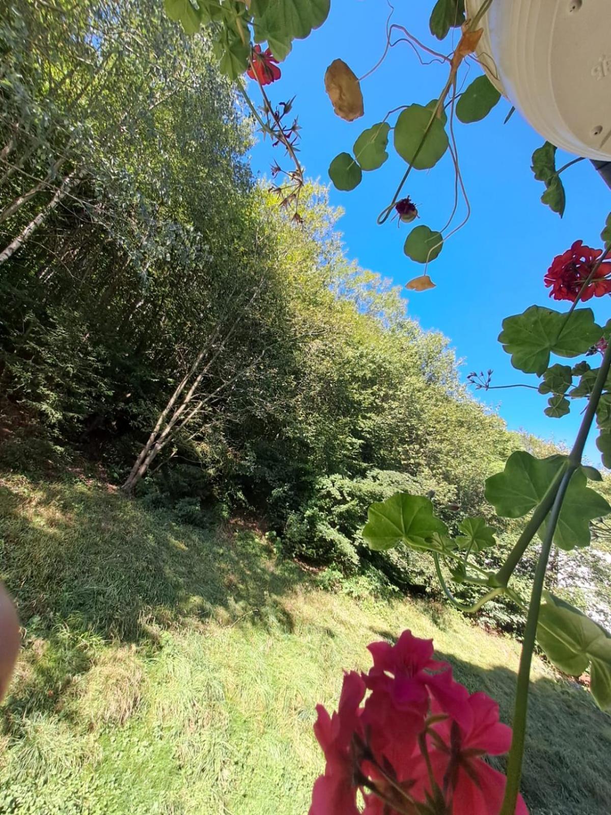 Garsoniera Flori - Sinaia Apartment Bagian luar foto