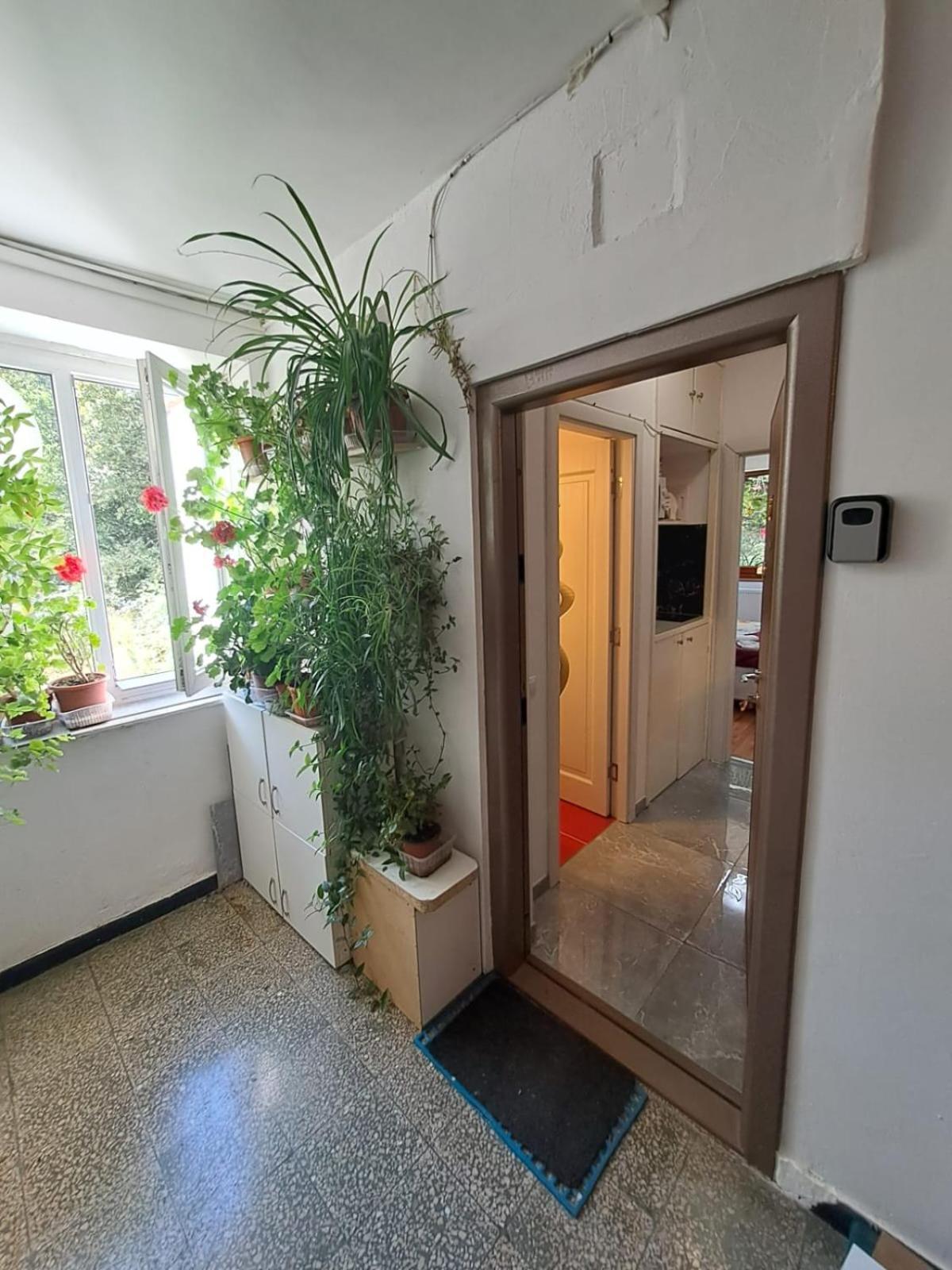 Garsoniera Flori - Sinaia Apartment Bagian luar foto
